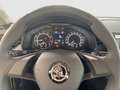 Skoda Scala Active Klima,PDC,WR,SHZ Blu/Azzurro - thumbnail 12