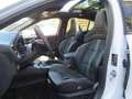 Ford Focus ST X // Pano, ACC, R-kam, B&O, HUD Weiß - thumbnail 14