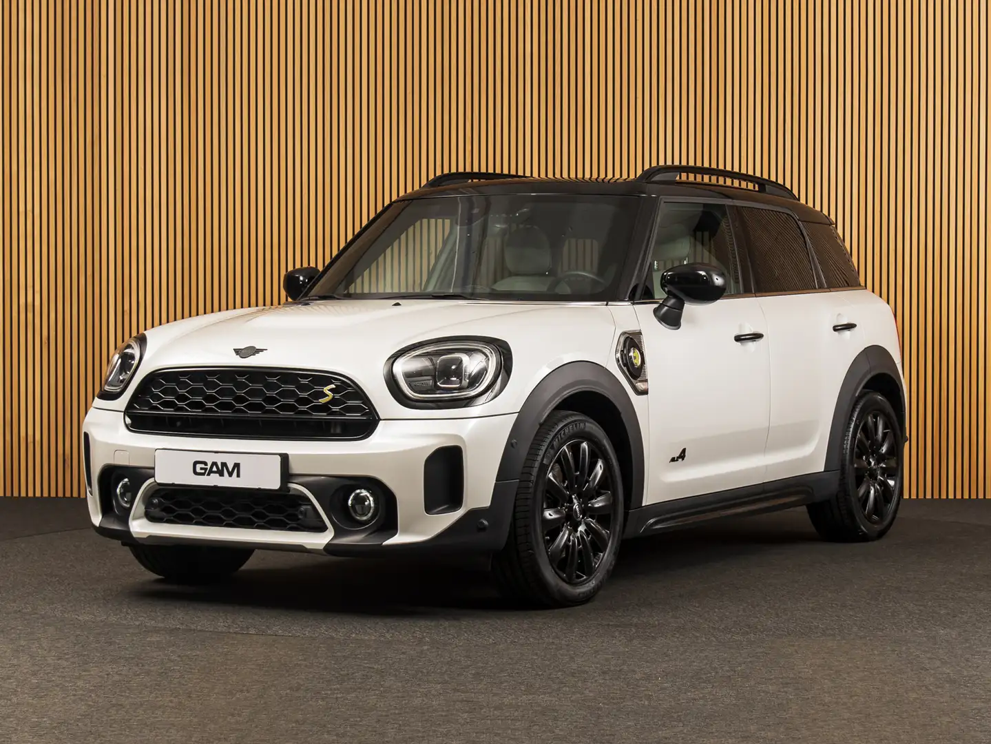 MINI Cooper SE Countryman 2.0 ALL4 Classic PANO-H/K-LEDER-HUD-18" Bílá - 1