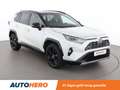 Toyota RAV 4 2.5 Hybrid 4x2 Style Blanc - thumbnail 8