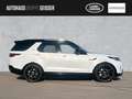 Land Rover Discovery D250 AWD R-DYNAMIC SE 7-Sitzer ACC SD Білий - thumbnail 6