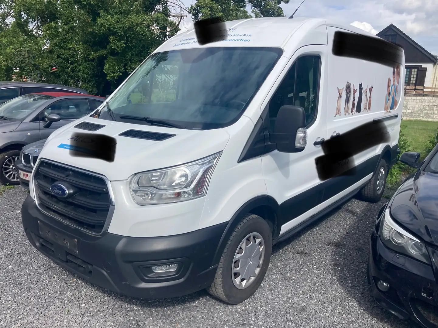 Ford Transit L2 H2 HYBRIDE chain distribution HS Bianco - 1
