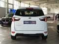 Ford EcoSport ST-Line WINTER-P/KEYFREE/KAMERA/B&O Weiß - thumbnail 3