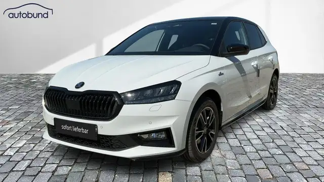 Skoda Fabia main image