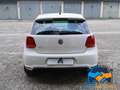Volkswagen Polo 1.4 TSI DSG 5 porte GTI Bianco - thumbnail 6