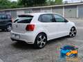 Volkswagen Polo 1.4 TSI DSG 5 porte GTI Bianco - thumbnail 5