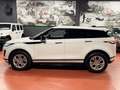 Land Rover Range Rover Evoque 2.0d i4 mhev S Business Edition Premium awd 150cv - thumbnail 4