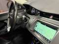 Land Rover Range Rover Evoque 2.0d i4 mhev S Business Edition Premium awd 150cv - thumbnail 12