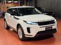 Land Rover Range Rover Evoque 2.0d i4 mhev S Business Edition Premium awd 150cv - thumbnail 3