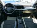 Skoda Kamiq 130 Jahre Premium Edition 1,5 TSI DSG*AHK-SCHWENKB Bianco - thumbnail 12