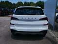 Skoda Kamiq 130 Jahre Premium Edition 1,5 TSI DSG*AHK-SCHWENKB Blanco - thumbnail 2