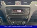 Skoda Octavia Kombi 1.6 TDI Klimaanlage SHZ AHK Blau - thumbnail 13