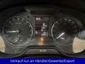 Skoda Octavia Kombi 1.6 TDI Klimaanlage SHZ AHK Blau - thumbnail 10