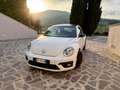 Volkswagen Maggiolino Maggiolino 2017 1.2 tsi Design 105cv Bianco - thumbnail 3