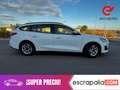 Ford Focus 1.5 Ecoblue Trend+ 120 Blanco - thumbnail 8