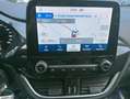 Ford Puma Puma 1.0 ecoboost h Titanium ses 125cv Argento - thumbnail 13