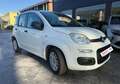Fiat Panda Panda III 2012 1.3 mjt 16v Pop 75cv E5+ EX149RY Blanc - thumbnail 3