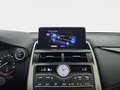 Lexus NX 300h 2.5 Premium 2WD Blanco - thumbnail 22