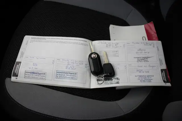 Fiat Punto Evo view 11