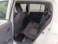 Suzuki Celerio Celerio 1.0i GL Airco boîte automatique Blanc - thumbnail 9