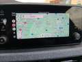 Skoda Kamiq 1.0 TSI AHK + KAMERA + beh. Frontscheibe + variabl Grigio - thumbnail 14