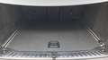 BMW X3 xDrive20d 48V Luxury Aut. + Tetto apr. Bianco - thumbnail 15