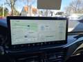 Ford Focus 1.0 ST-Line  LED/Navi/SHZ/DAB/Kamera/Allwetter Schwarz - thumbnail 12