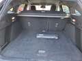 Ford Focus 1.0 ST-Line  LED/Navi/SHZ/DAB/Kamera/Allwetter Schwarz - thumbnail 22