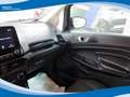 Ford EcoSport 1.5 EcoBlue 100cv Business EU6 Nero - thumbnail 10