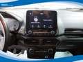Ford EcoSport 1.5 EcoBlue 100cv Business EU6 Nero - thumbnail 6