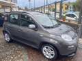 Fiat Panda Panda 1.0 firefly hybrid City Life s Gris - thumbnail 3