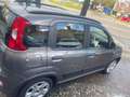 Fiat Panda Panda 1.0 firefly hybrid City Life s Gris - thumbnail 2