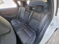 Mazda CX-30 2.5L G140PS 6MT 2WD Prime - Line Weiß - thumbnail 10