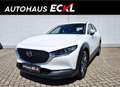 Mazda CX-30 2.5L G140PS 6MT 2WD Prime - Line Weiß - thumbnail 1