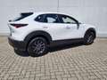 Mazda CX-30 2.5L G140PS 6MT 2WD Prime - Line Weiß - thumbnail 6