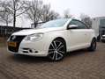 Volkswagen Eos 1.4 TSI White Night (Vol-Opties!) Youngtimer Alb - thumbnail 11
