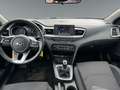 Kia Ceed / cee'd Ceed 1.0 T-GDI OPF *KLIMA*16''LM*ALLWETTER* Blanc - thumbnail 11