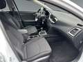 Kia Ceed / cee'd Ceed 1.0 T-GDI OPF *KLIMA*16''LM*ALLWETTER* Blanc - thumbnail 16
