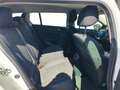 Renault Megane Megane Sporter 1.5 blue dci Business Blanc - thumbnail 13