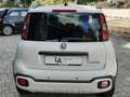 Fiat Panda Pandina 1.0 firefly hybrid s Bianco - thumbnail 4