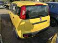Fiat Panda Panda 1.0 FireFly S&S Hybrid Pop Gelb - thumbnail 5