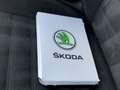 Skoda Superb Combi 2.0 TDI Scout 4x4 DSG +Servicepaket* Siyah - thumbnail 10
