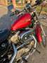 Harley-Davidson Sportster 883 - thumbnail 2