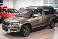 Skoda Yeti Outdoor 2.0 tdi Ambition 4x4 150cv E6 Bronze - thumbnail 1