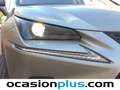 Lexus NX 300 300h Premium 2WD Plateado - thumbnail 11