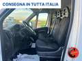 Fiat Ducato (PEUGEOUT BOXER)435 2.2 B.HDi 140 CV L2H2 SENSORI- Bianco - thumbnail 11