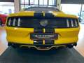 Ford Mustang Fastback 5.0 V8 TiVCT aut. GT (SEDILI RECARO) Yellow - thumbnail 8