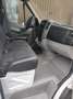 Mercedes-Benz Spinter Doppelkabine L3H2 Blanco - thumbnail 13