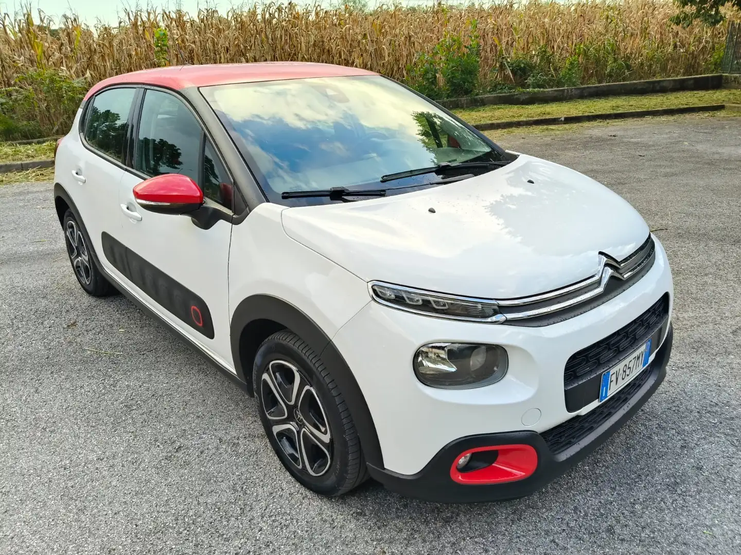 Citroen C3 1.6 bluehdi Shine s&s 100cv - 1