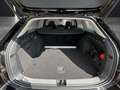 Volkswagen Passat TDI Business ACC AHK SH Massage AreaView Navi Schwarz - thumbnail 14